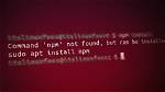 "0: Command Not Found" Error While Running a Bash Script
