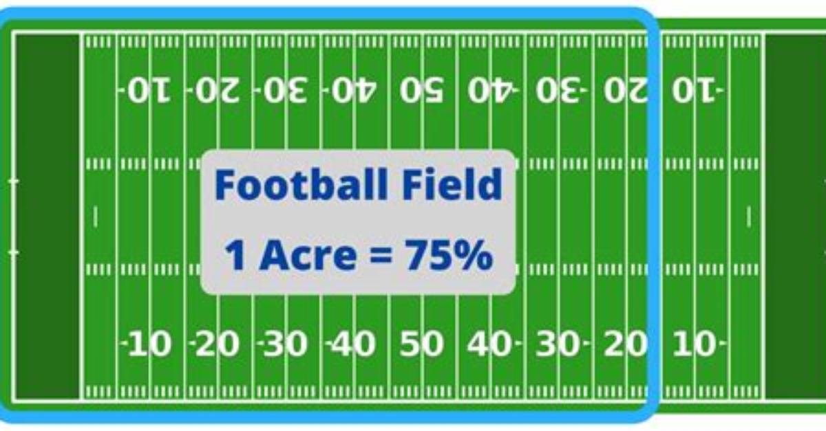1 Acre Yard