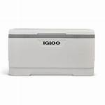 150 Quart Cooler