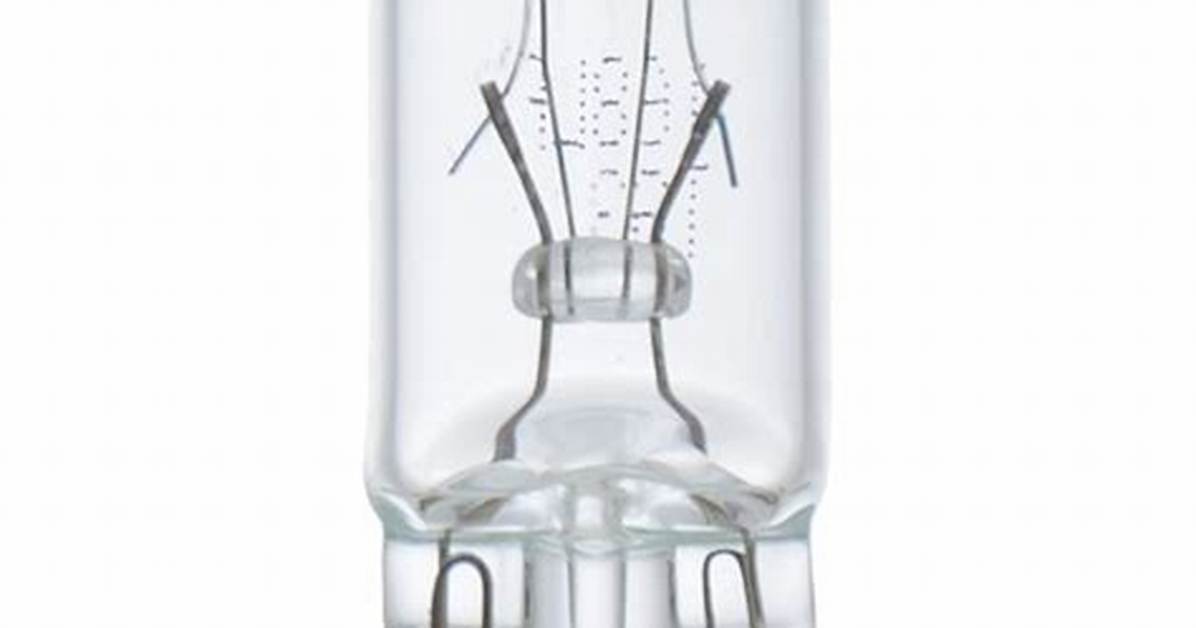 168 Bulb