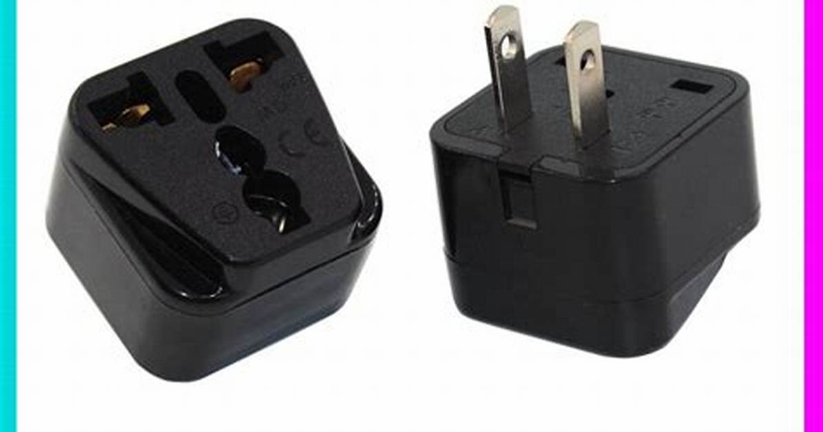 2 Pin Plug