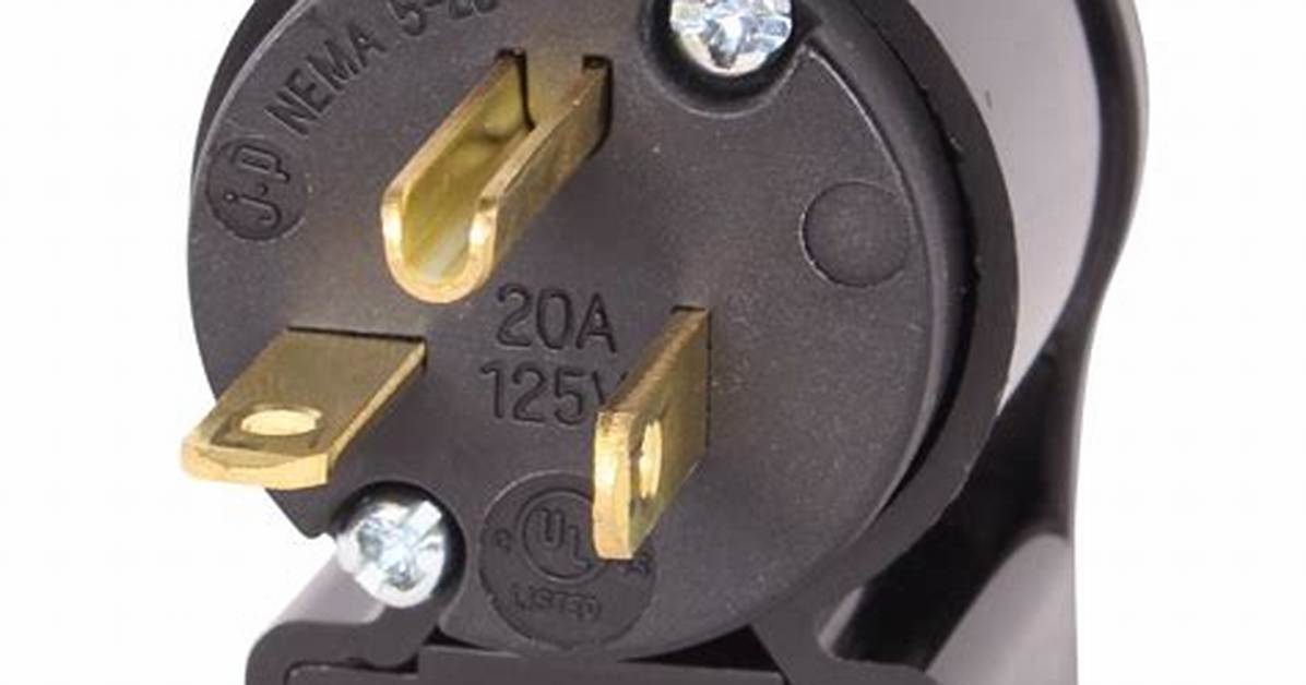 20 Amp Plug