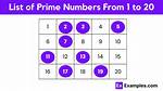 20 Prime