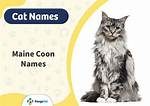 200 Maine Coon Cat Names: Perfect & Clever Options for Your Cat | Pangovet