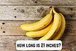 21 Inches
