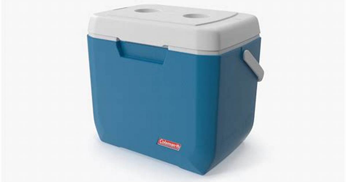 28 Quart Cooler