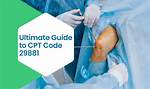 29881 Cpt Code