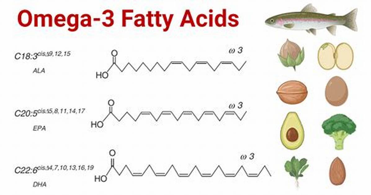 ___-3 Fatty Acids