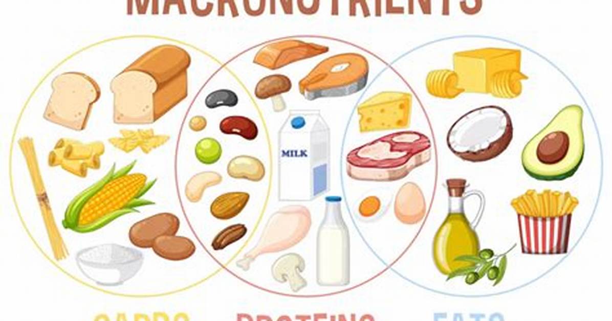 3 Macronutrients