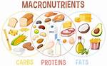 3 Macronutrients
