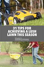 31 Tips for Achieving a Lush Lawn This Season — the Family Handyman