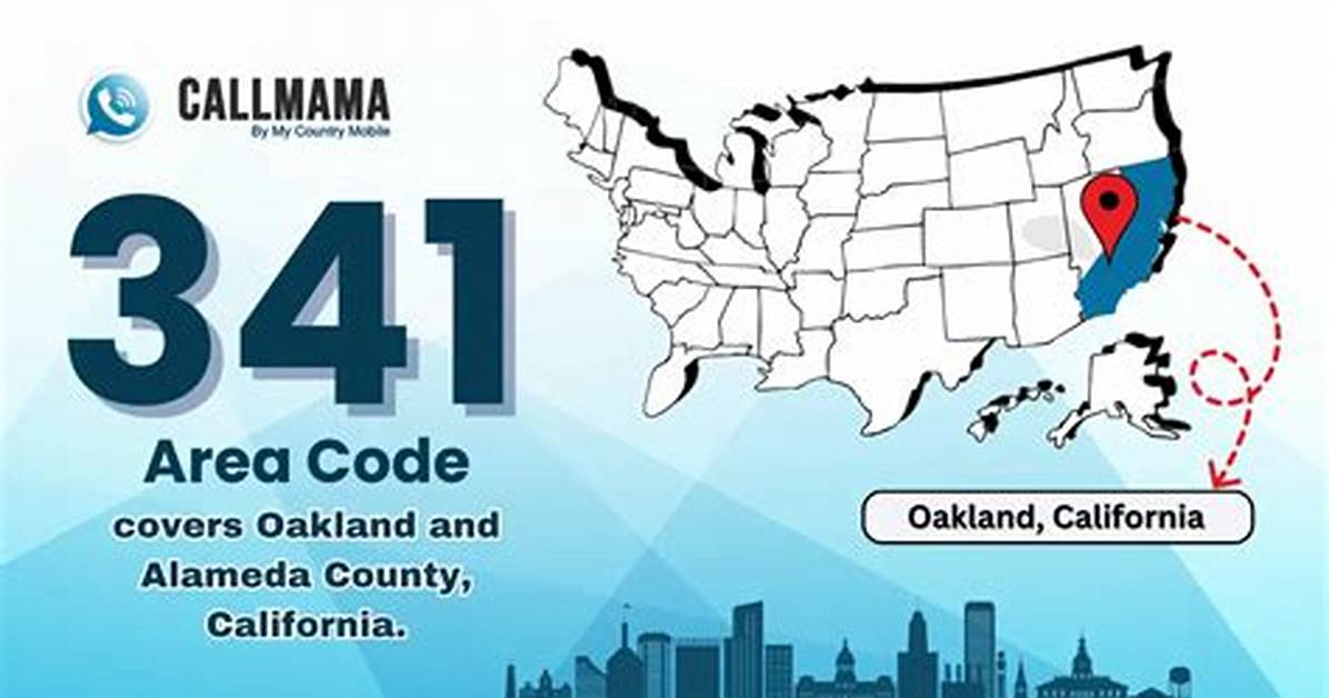 341 Area Code