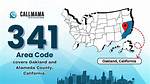 341 Area Code