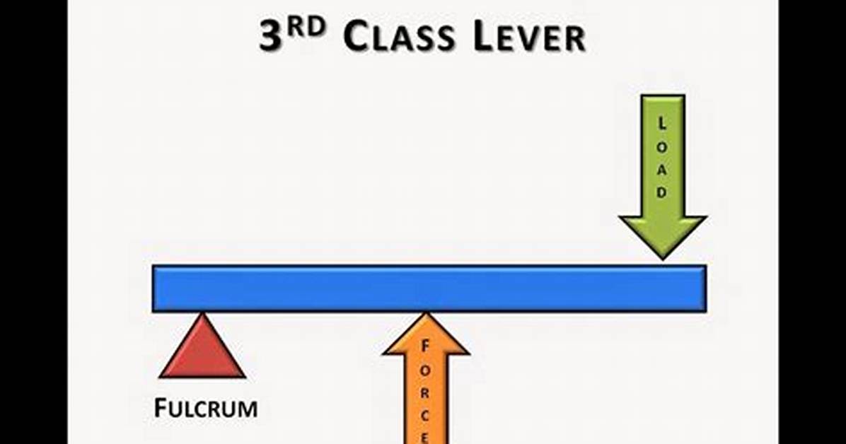 3Rd Class Lever