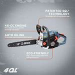 4 Cycle Chainsaw