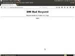 400 Bad Request No Request Found Micro_Httpd When Accessing Router Page