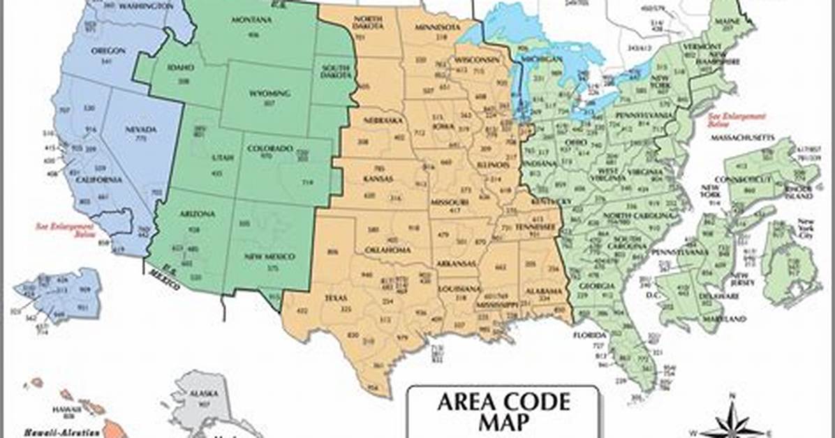 407 Area Code Time Zone