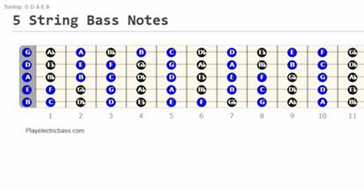 5 String Bass Notes