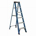 6Ft Ladder