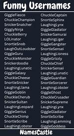 70+ Funny Usernames: the Best Pseudo Names You Can Use Online