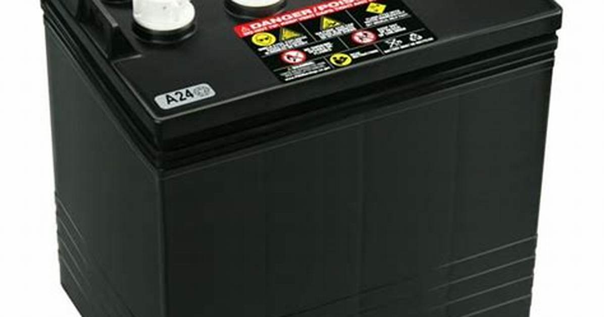8 Volt Battery