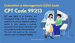 99213 Cpt Code Description