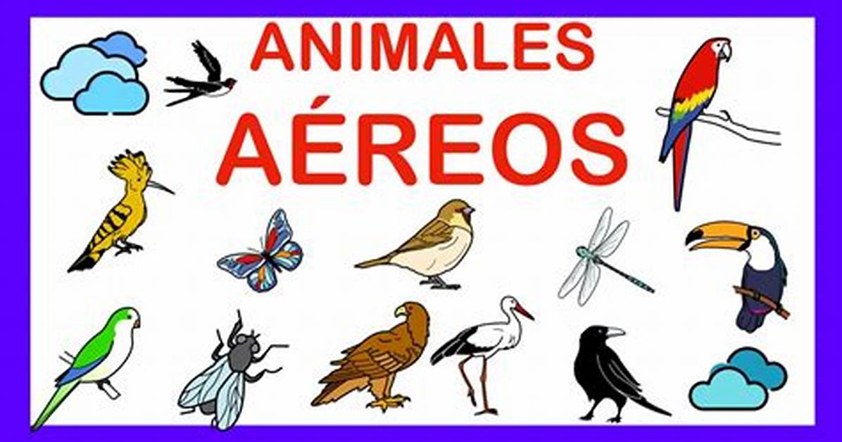Aaerios