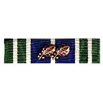 Aam Ribbon