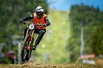 Aaron Gwin