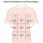Abdominal Quadrants