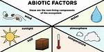Abiotic Factor Definition