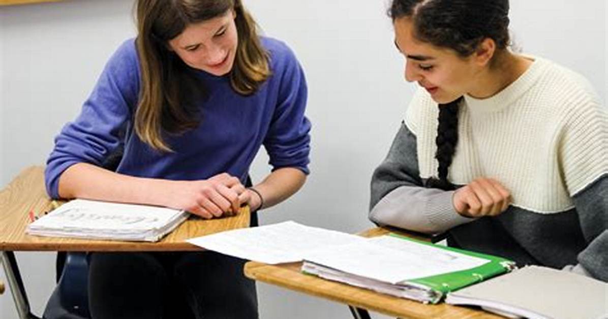 About the Peer Tutoring Program
