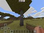 Acacia Minecraft