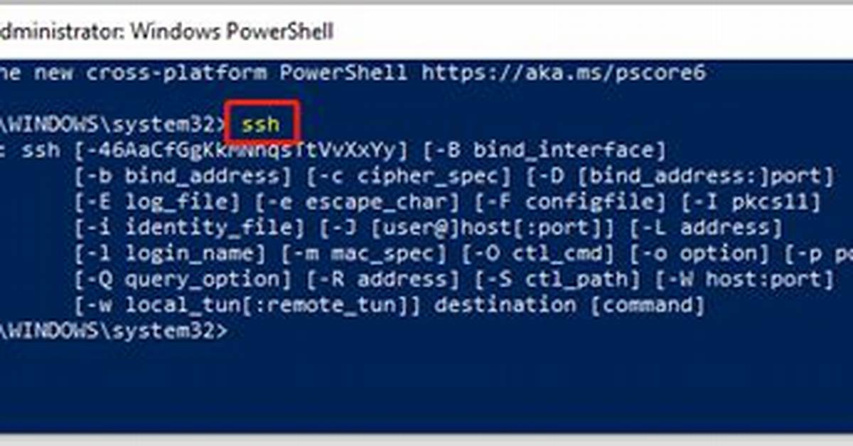 Access an Ip Address Using Ssh