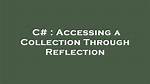 Accessing a Collection Through Reflection