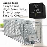Ace Hardware Mouse Traps