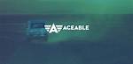 Aceable Driving Course