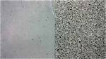 Acid Etch Concrete