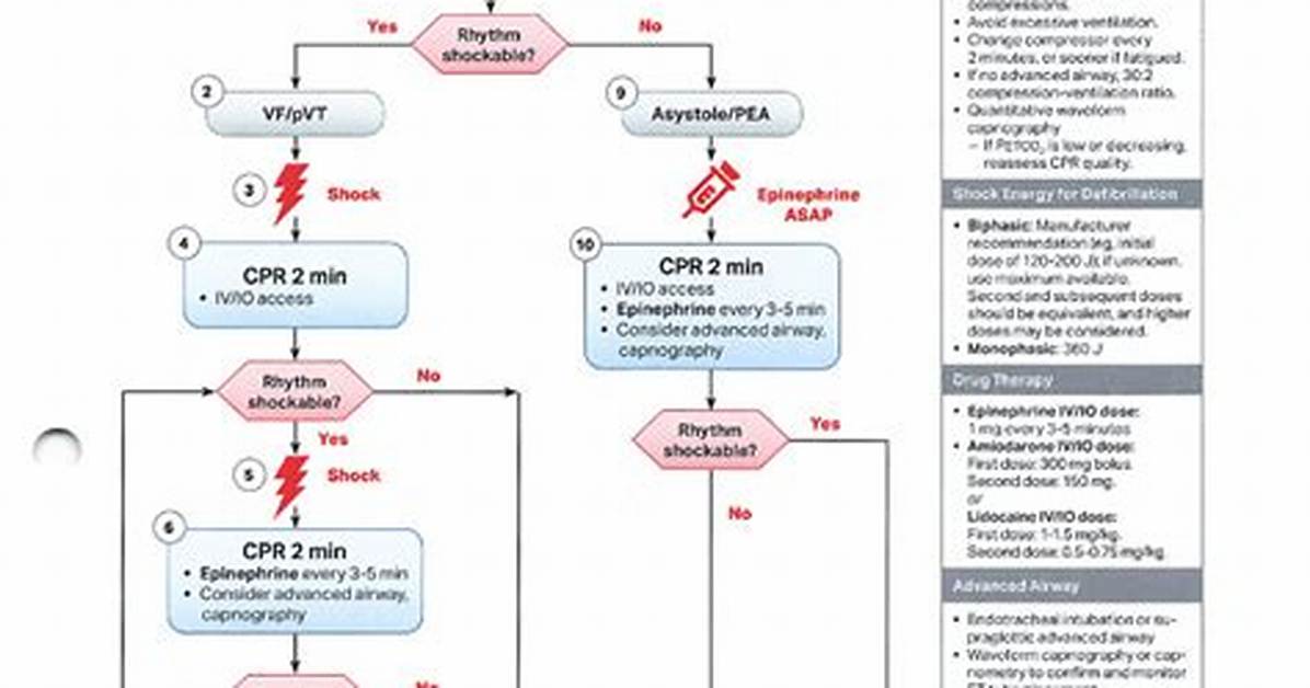 Acls Algorithms 2020