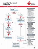 Acls Algorithms 2020