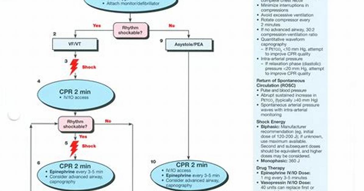 Acls Algorithms