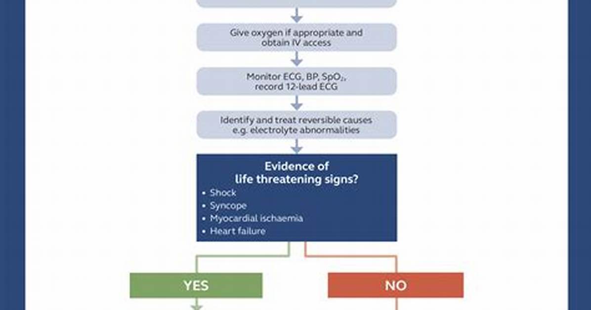 Acls Bradycardia Algorithm