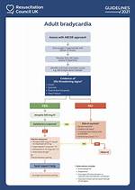 Acls Bradycardia Algorithm