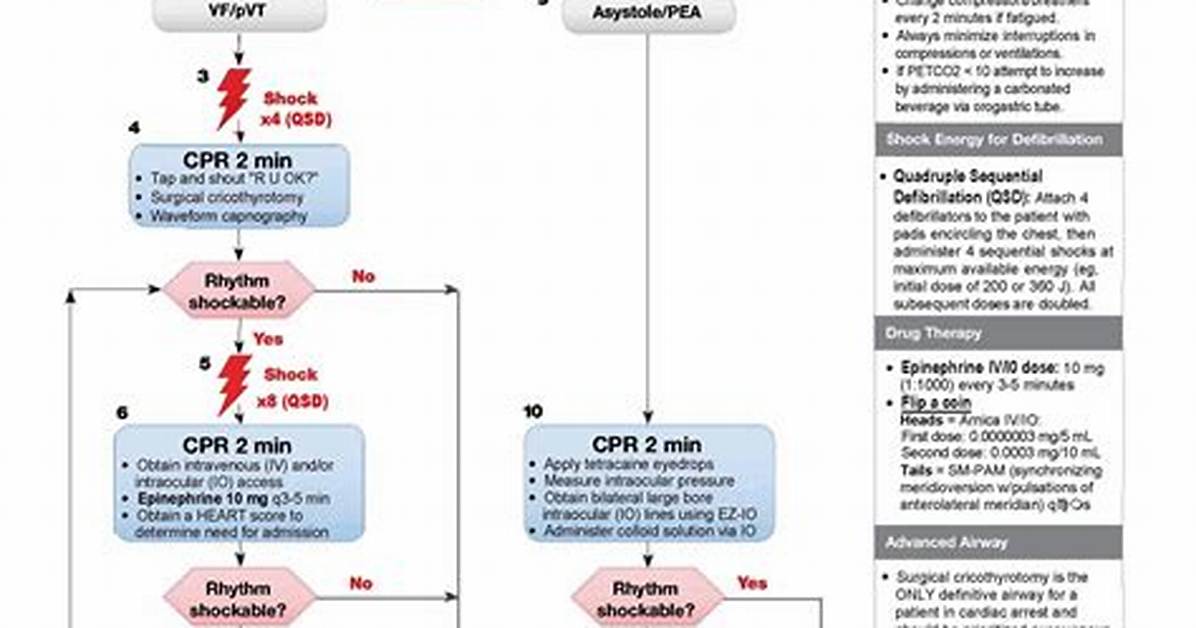 Acls Guidelines