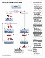 Acls Guidelines