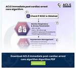 Acls Meaning