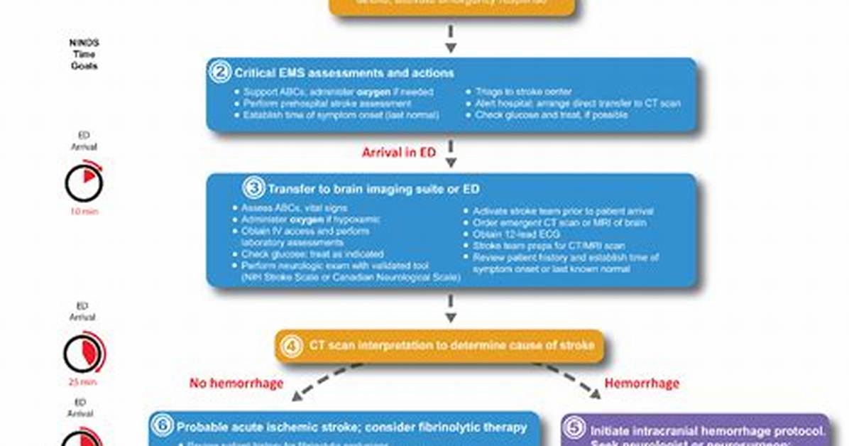 Acls Stroke Algorithm