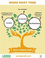 Acro Meaning