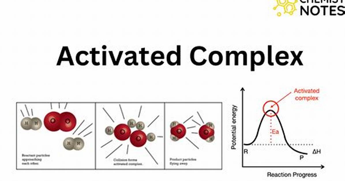 Activated Complex