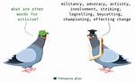 Activism Synonym